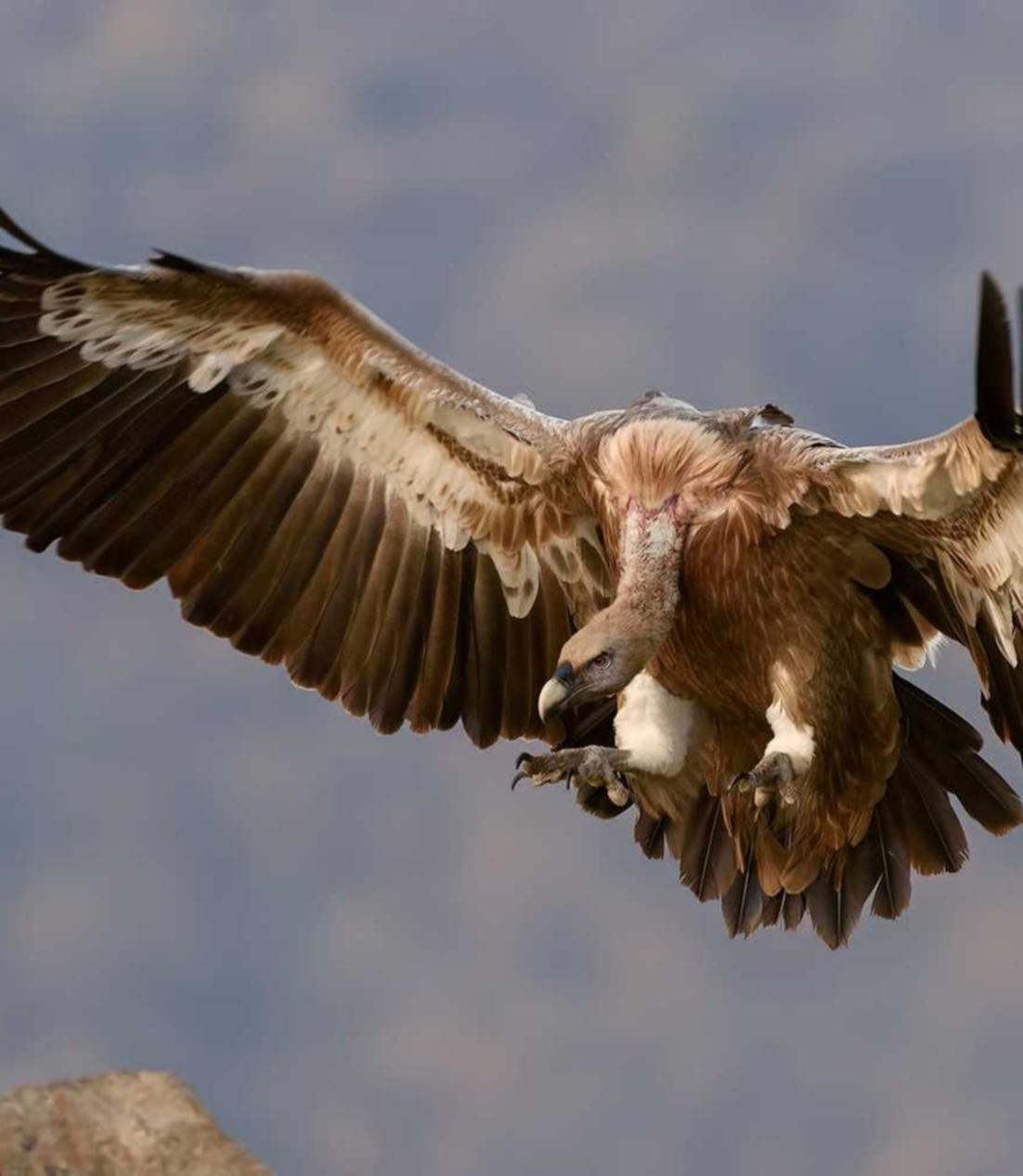 解读防御DDOS攻击平台- 阜阳餐具购买平台