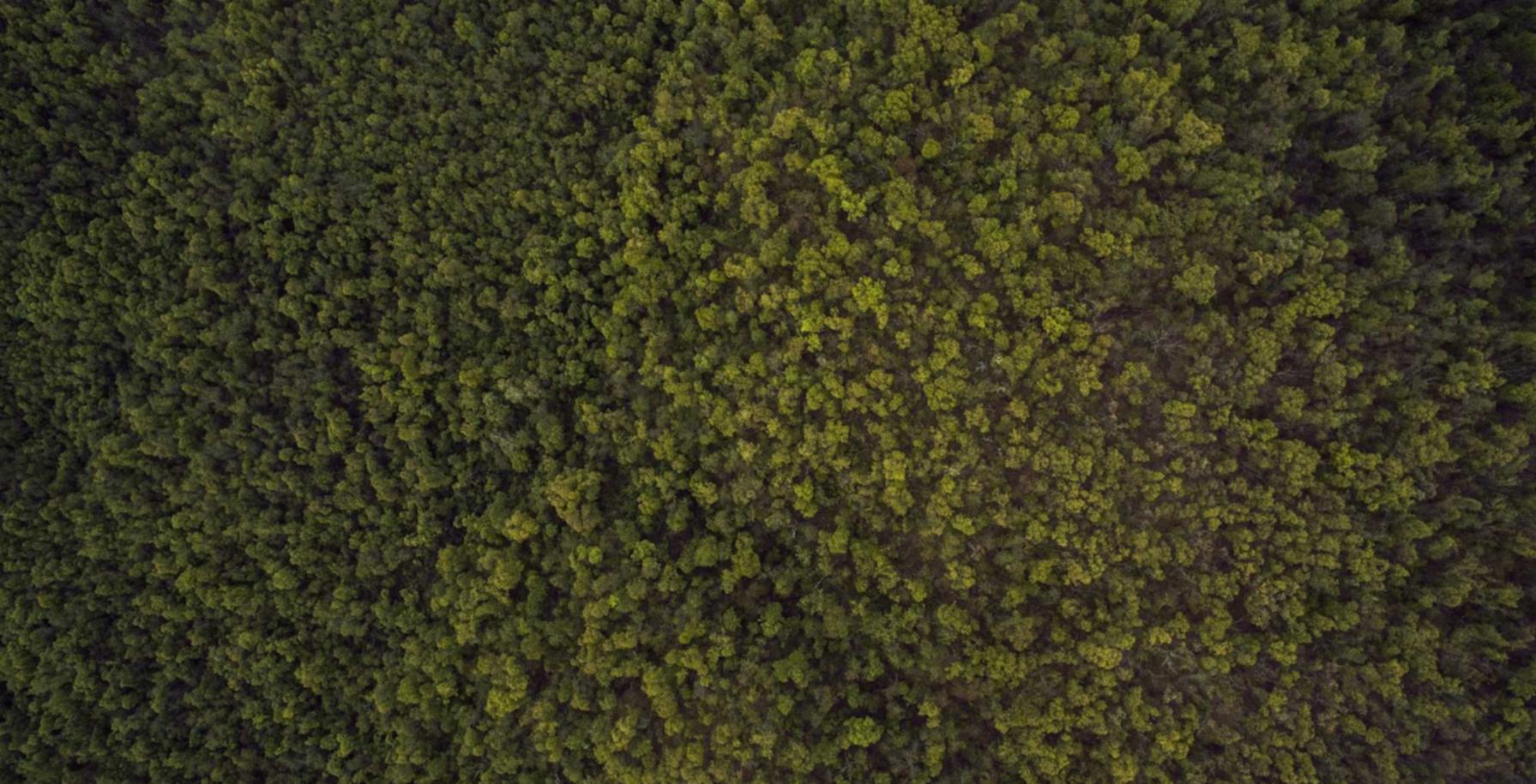 在线双语服务团队：转转平台购买退货