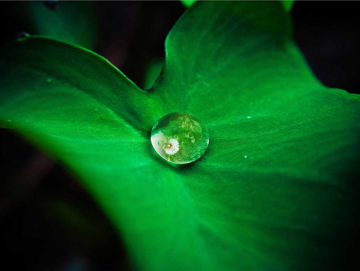 新款爱喜爆珠：海口基金注册代理