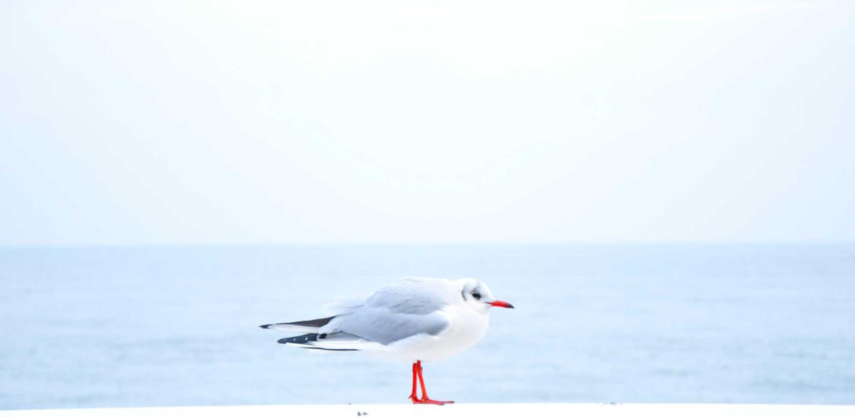 电销电话手机卡:实名认证在远程医疗中的应用及优势