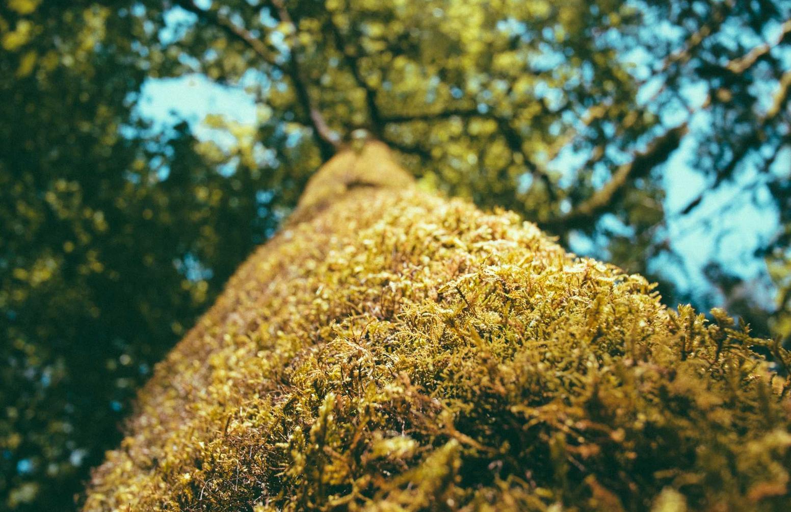 如何识别和避免黑合规团队业链带来的技术支持辅助影响 
