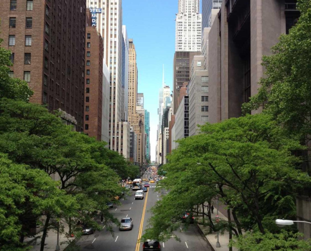 如何防范技术支持侵害