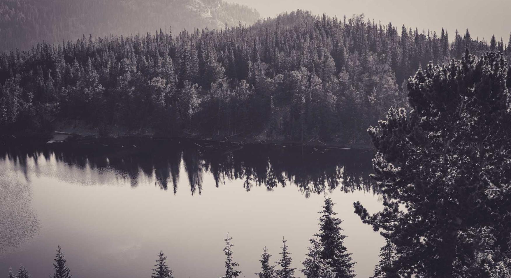 意昂团队竞技推推网买手平台开户