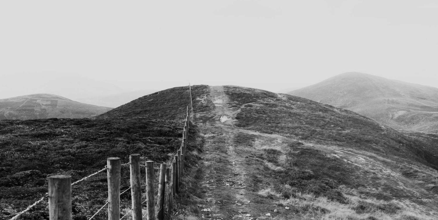 DDOS在线攻击平台|上海工商注册商标代理费用