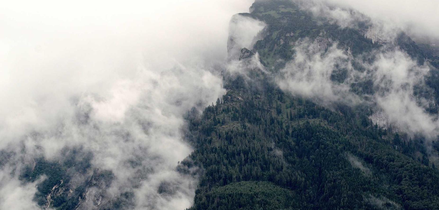 深度ip实名账号：实名认证与网络言论自由的辩证关系