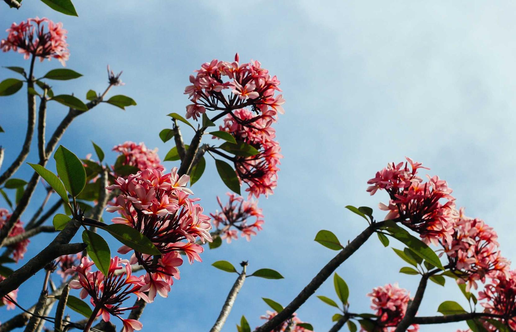 DDOS攻击教程|如何防止黑客利用远程桌面协议攻击你的电脑