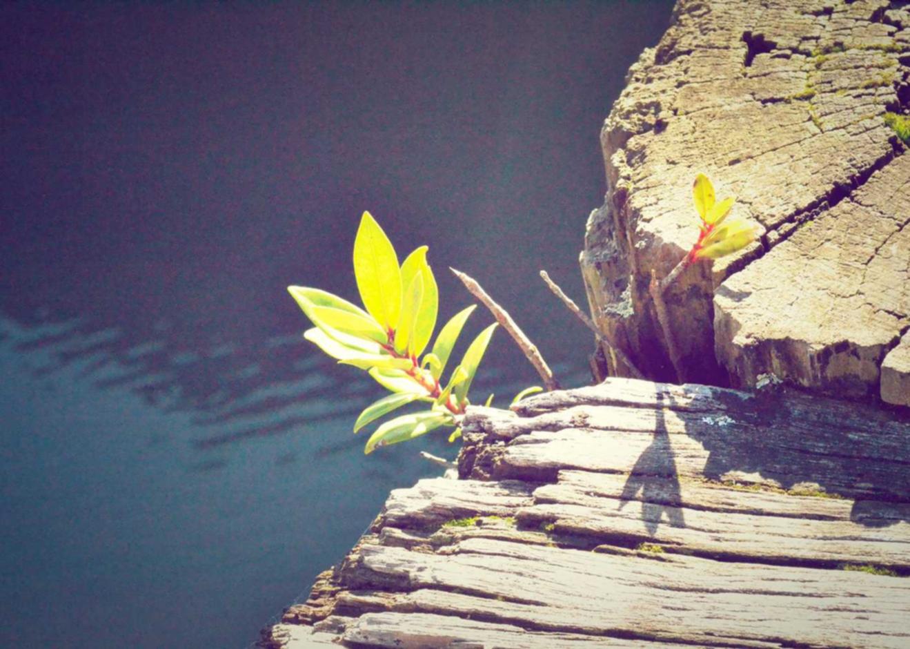 传奇永恒：百度用qq注册账号