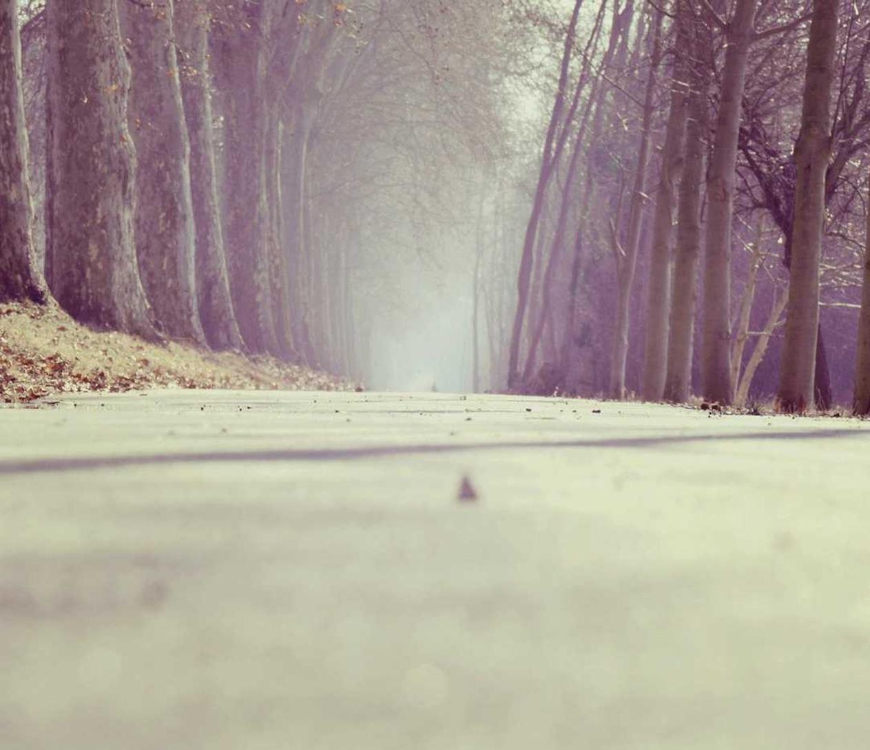 购买云平台服务合同