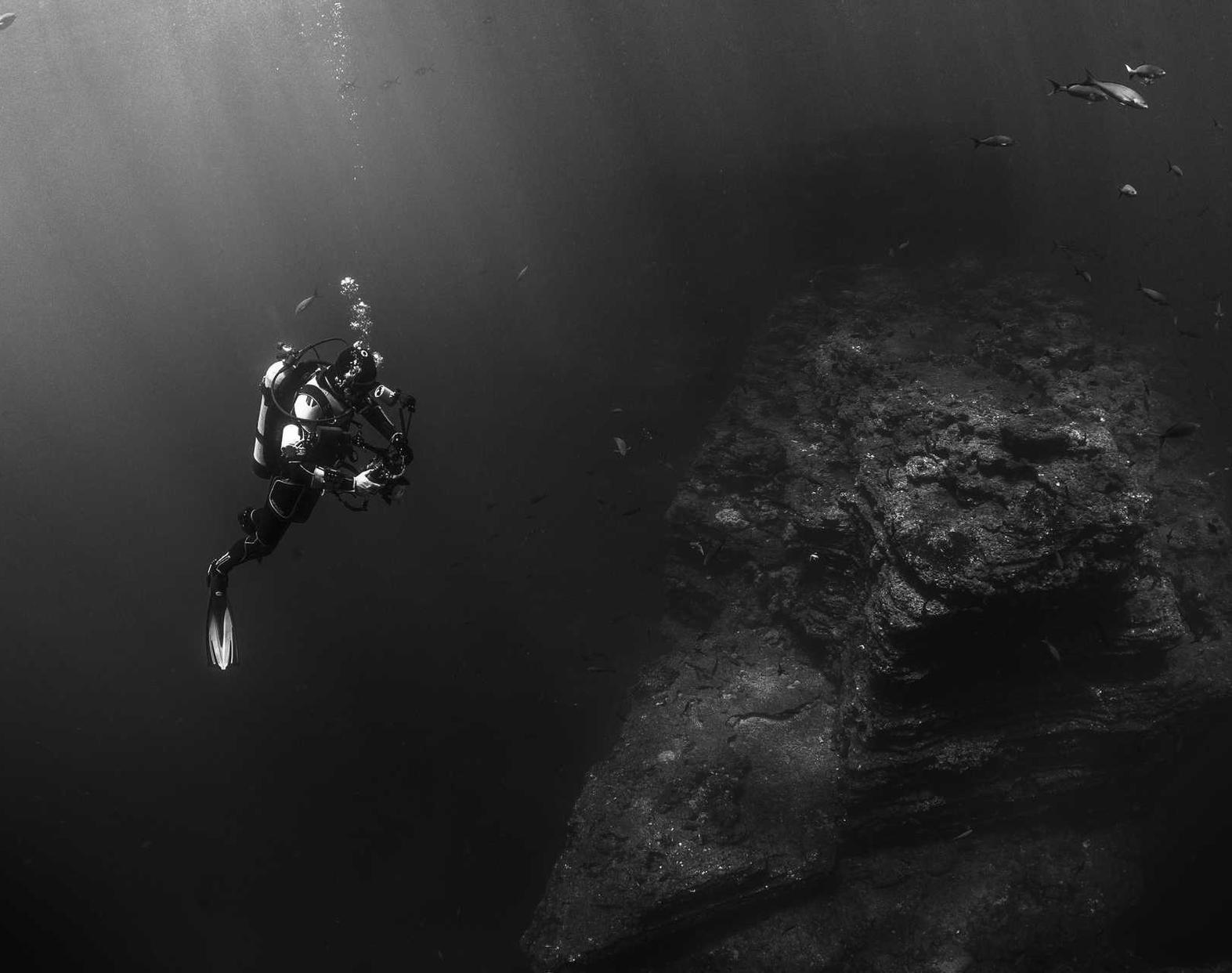 鼎点多点淘金app详情下载教程