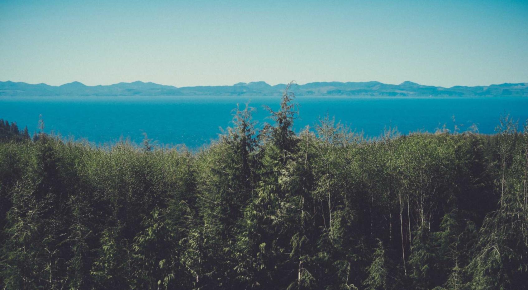 分发实名账号：蓝光无限app详情下载教程