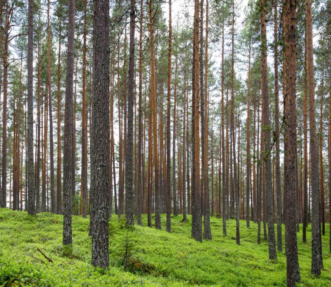 在线双语服务团队：临沂医保公司账号怎么注册
