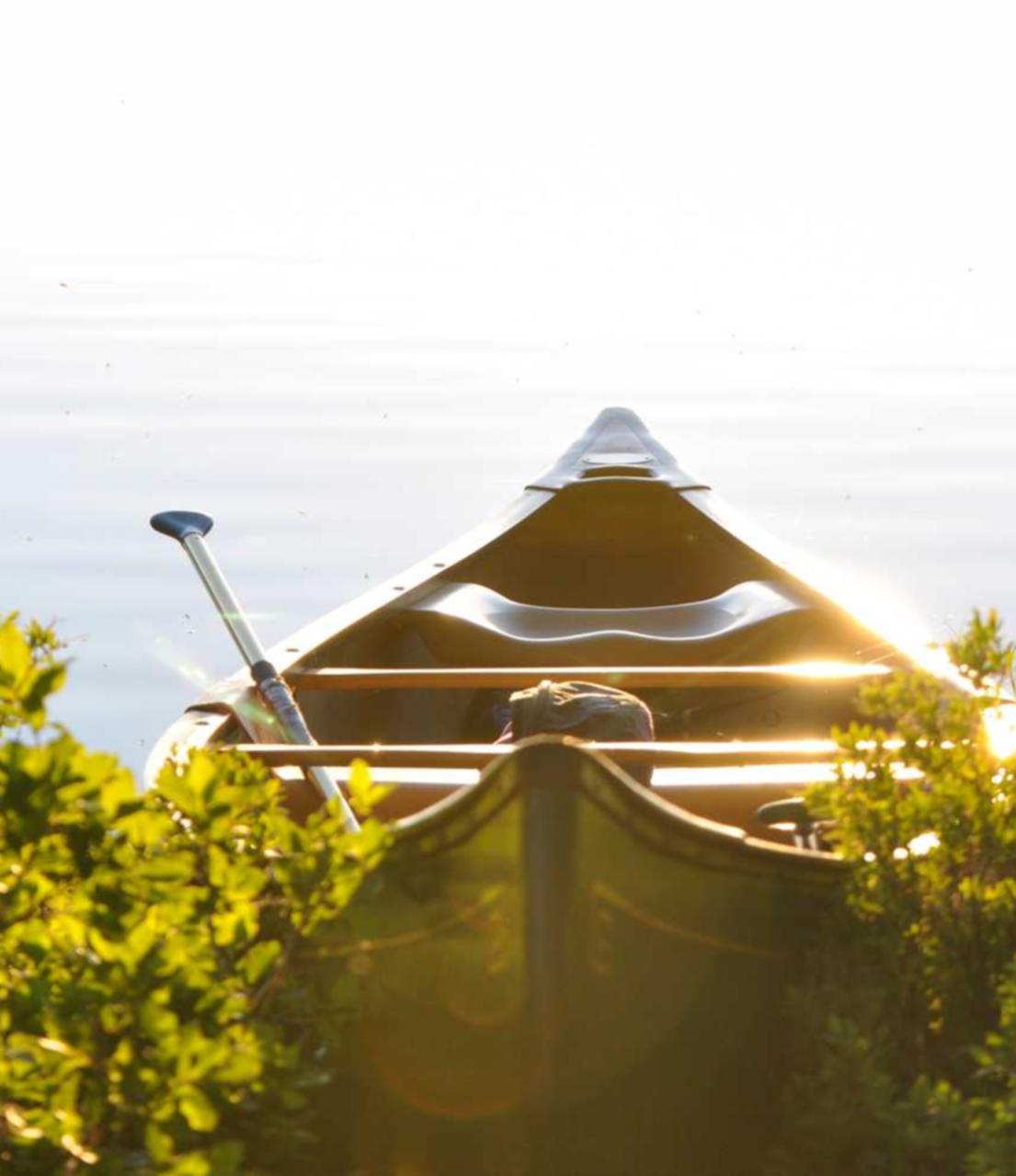 DDOS网页端源码|详情下载教程app手机银行