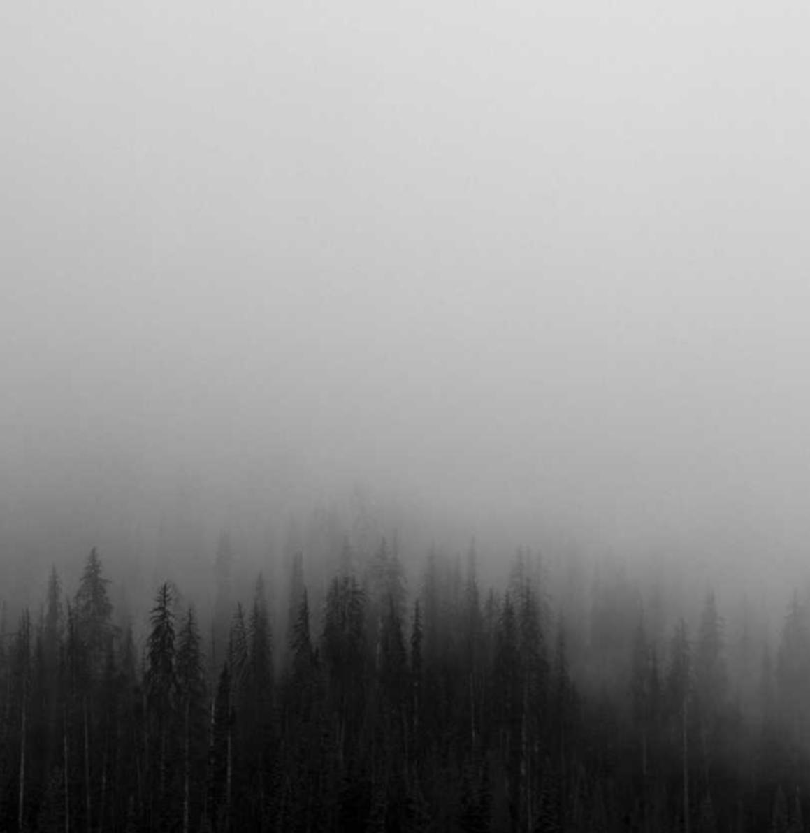 短信轰炸源码实名账号：饭店银行账号怎么开户