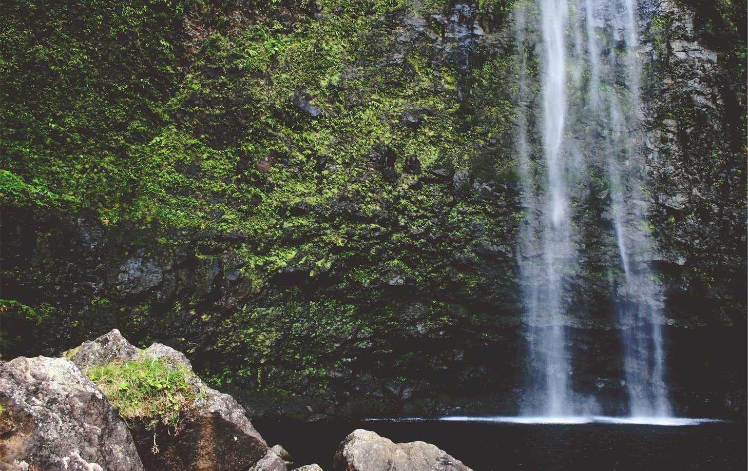 木盒蓝沉香（细）：司会计青岛代理注册