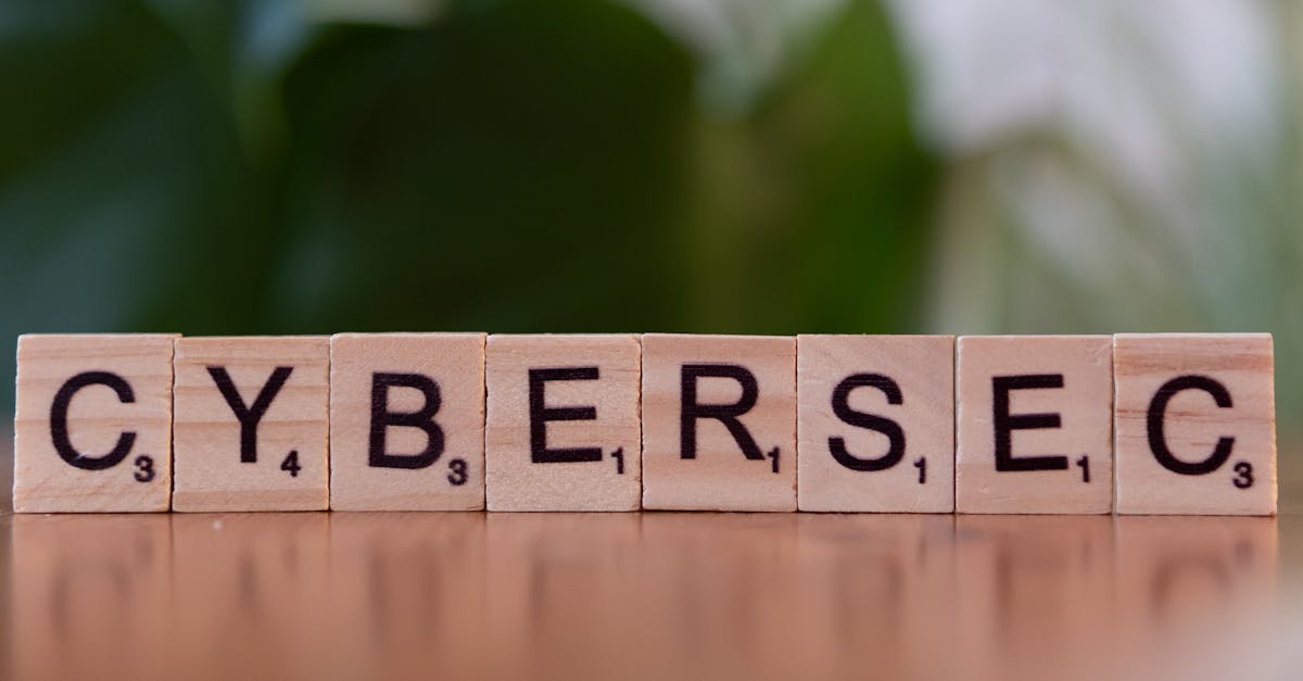 东丽代理做账平台