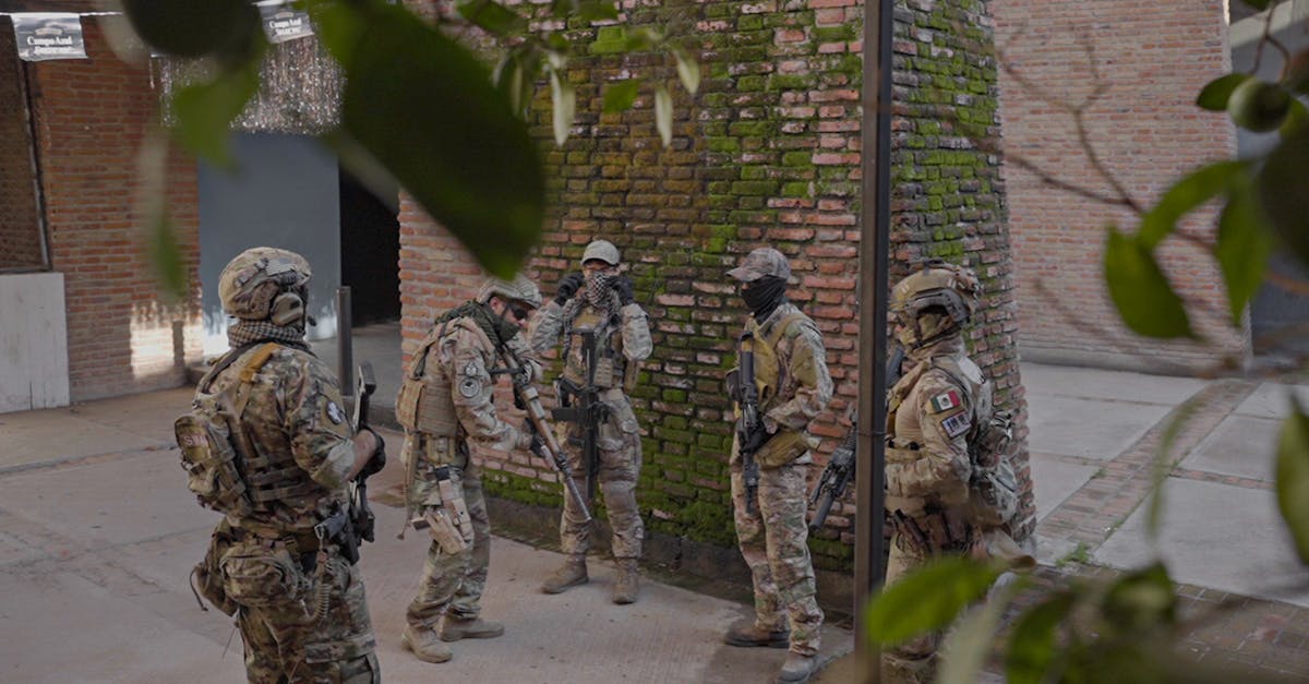 彩虹岛：萌伴小学堂app详情下载教程