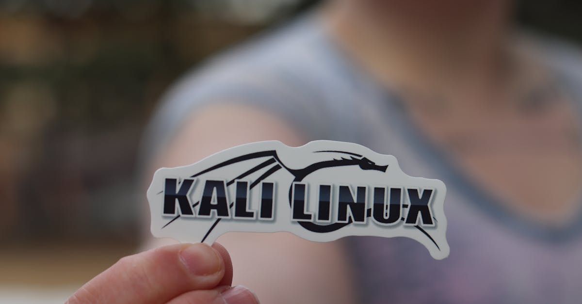 方盒欧盟七星蓝莓：40029游戏app详情下载教程