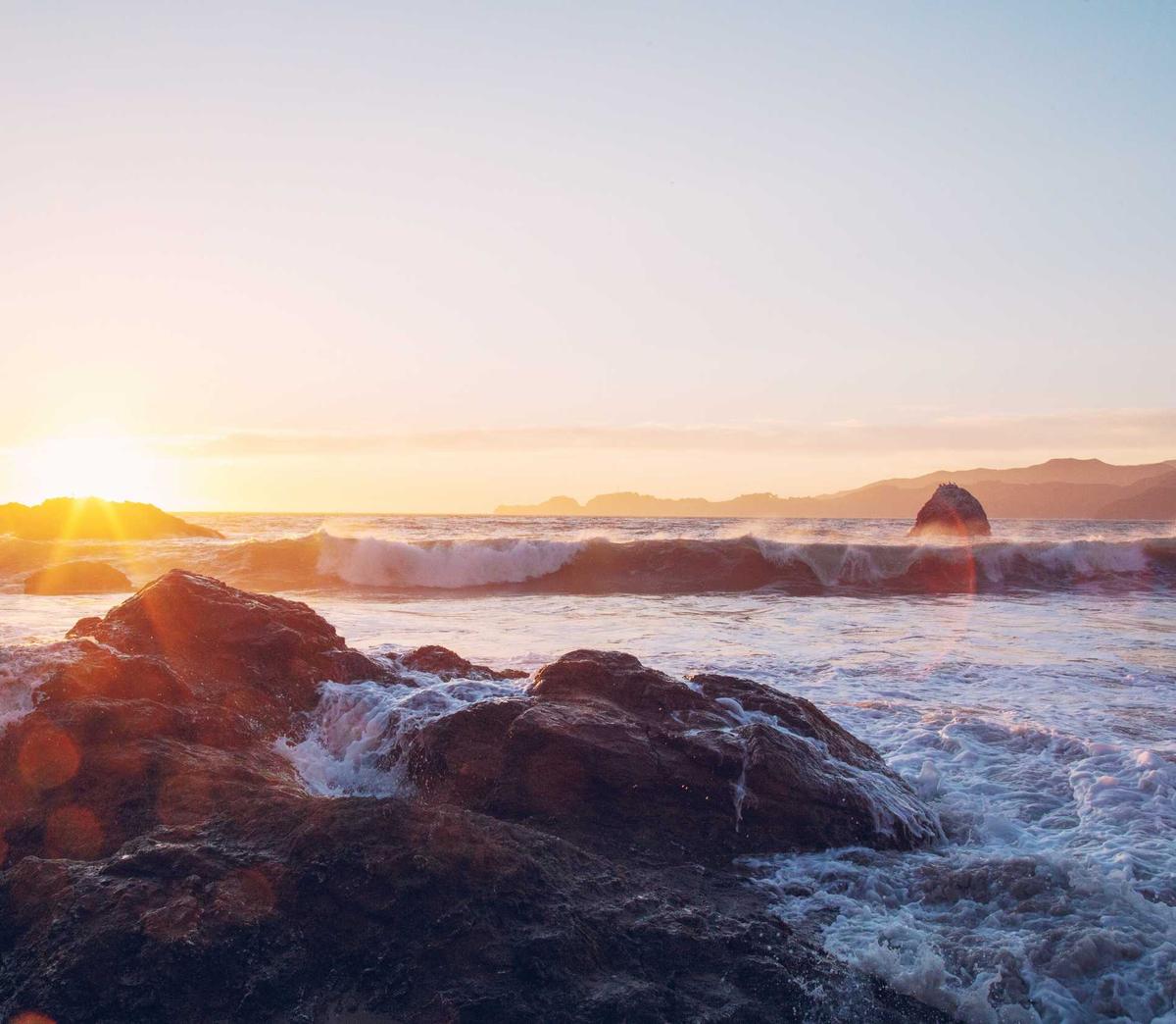 香烟成分和成分含量的研究