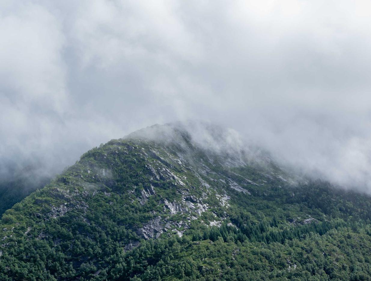 可乐2福建商标注册代理服务公司