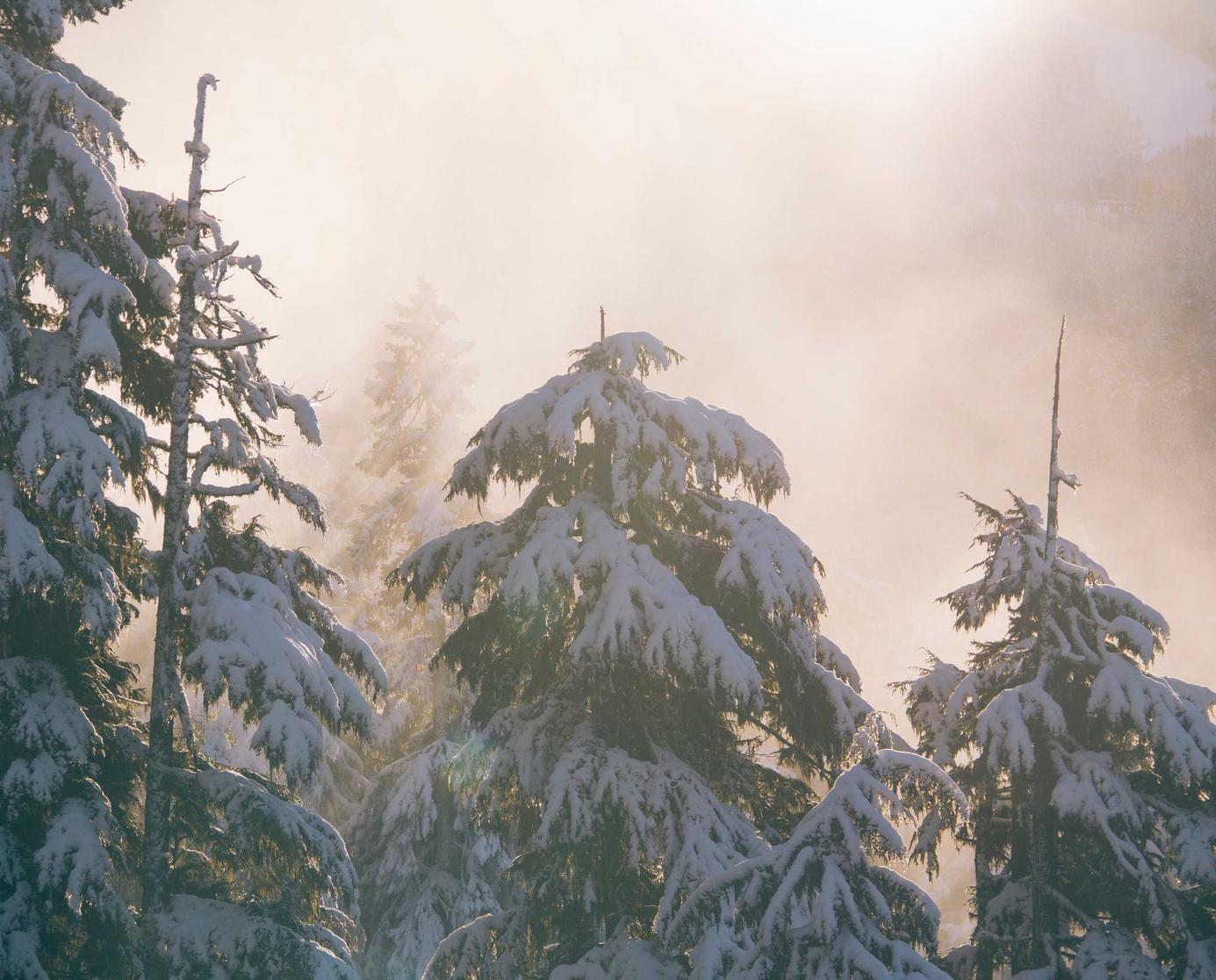 天富球球观战人数购买平台