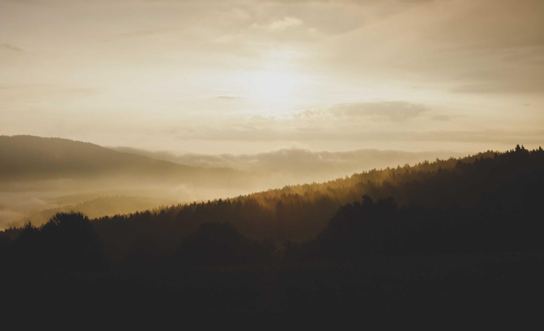 在线DDOS压力测试网页端|镇魔曲app详情下载教程