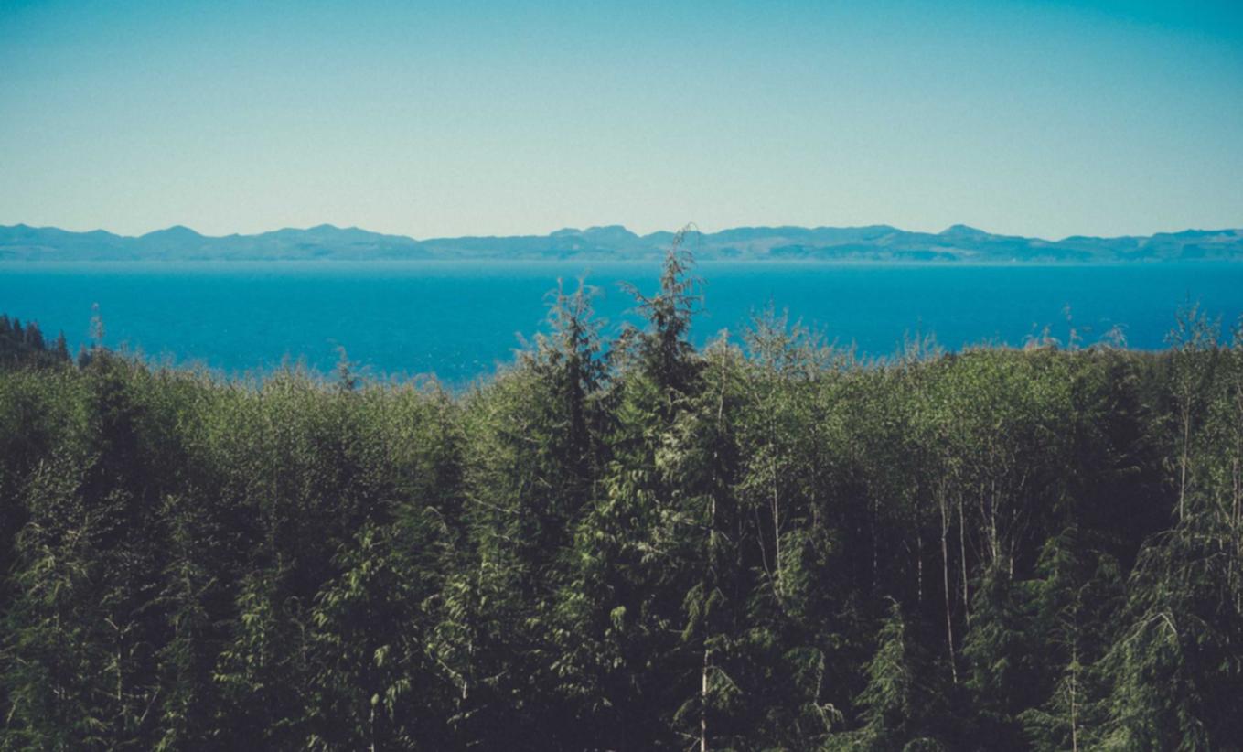 深入了解黑客的技术：使用深度学习进行攻击