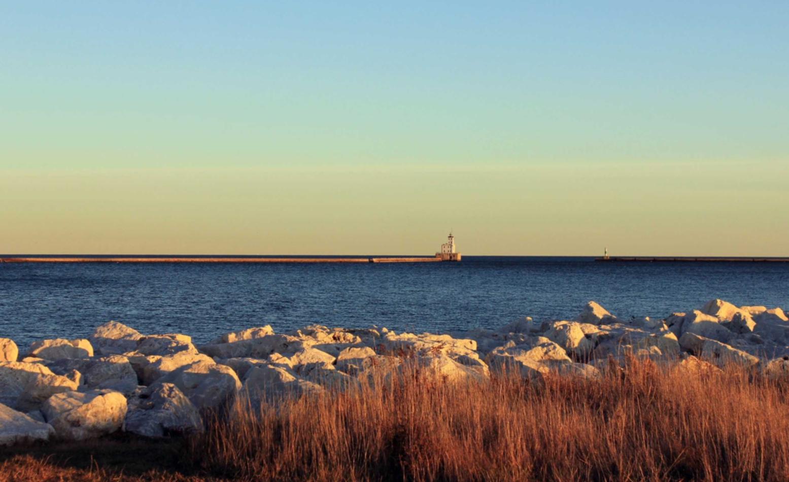 阿凡提哈密瓜：业务处置APP详情下载教程