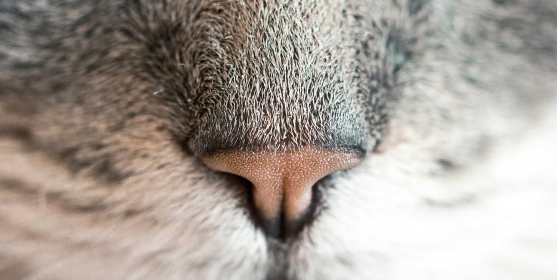 网页在线DDOS压力测试|黑客工具：现在是谁拥有它们，会怎么样使用？