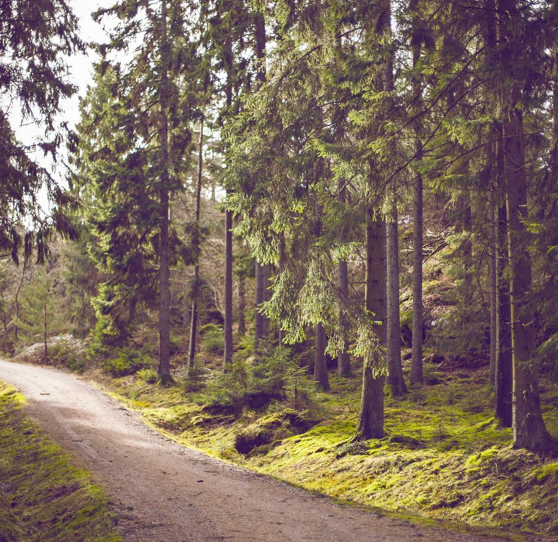 代理京东网店注册