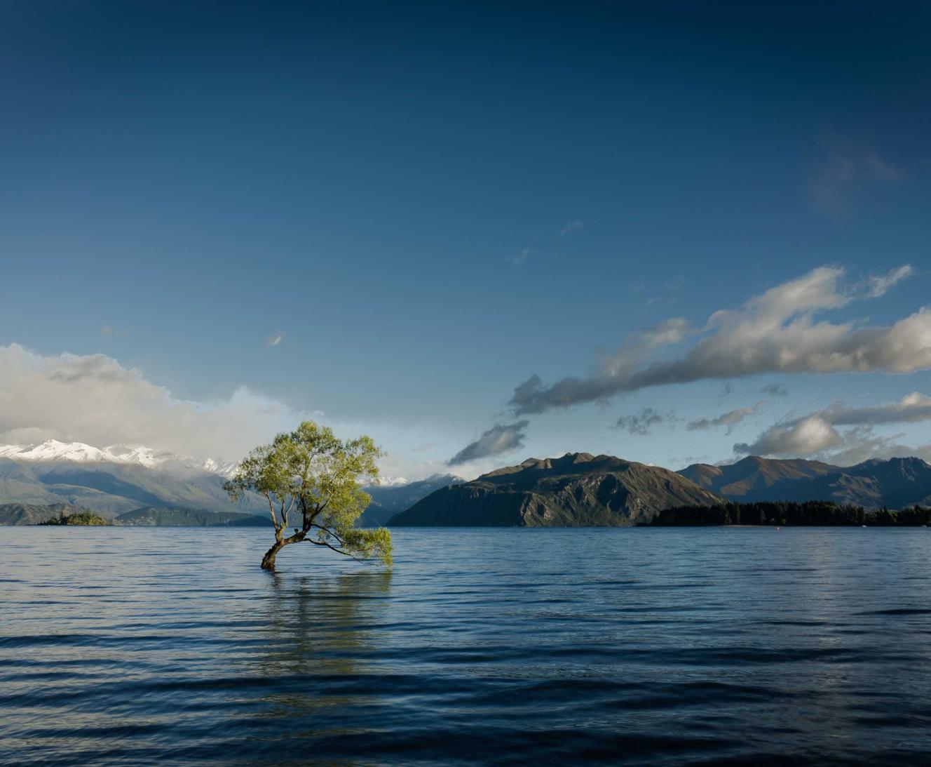 梦幻龙族2辅助- 音效购买平台