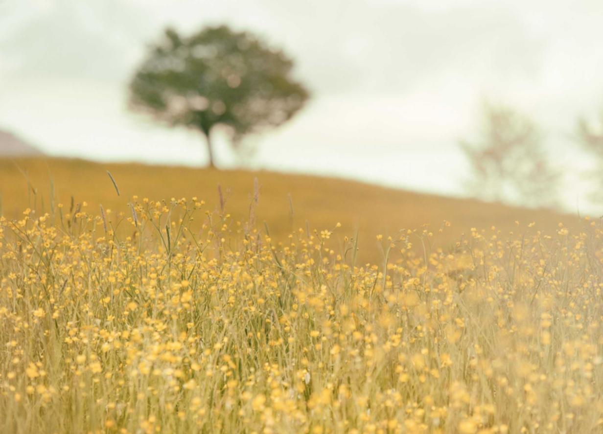 非凡团队竞技app详情下载教程