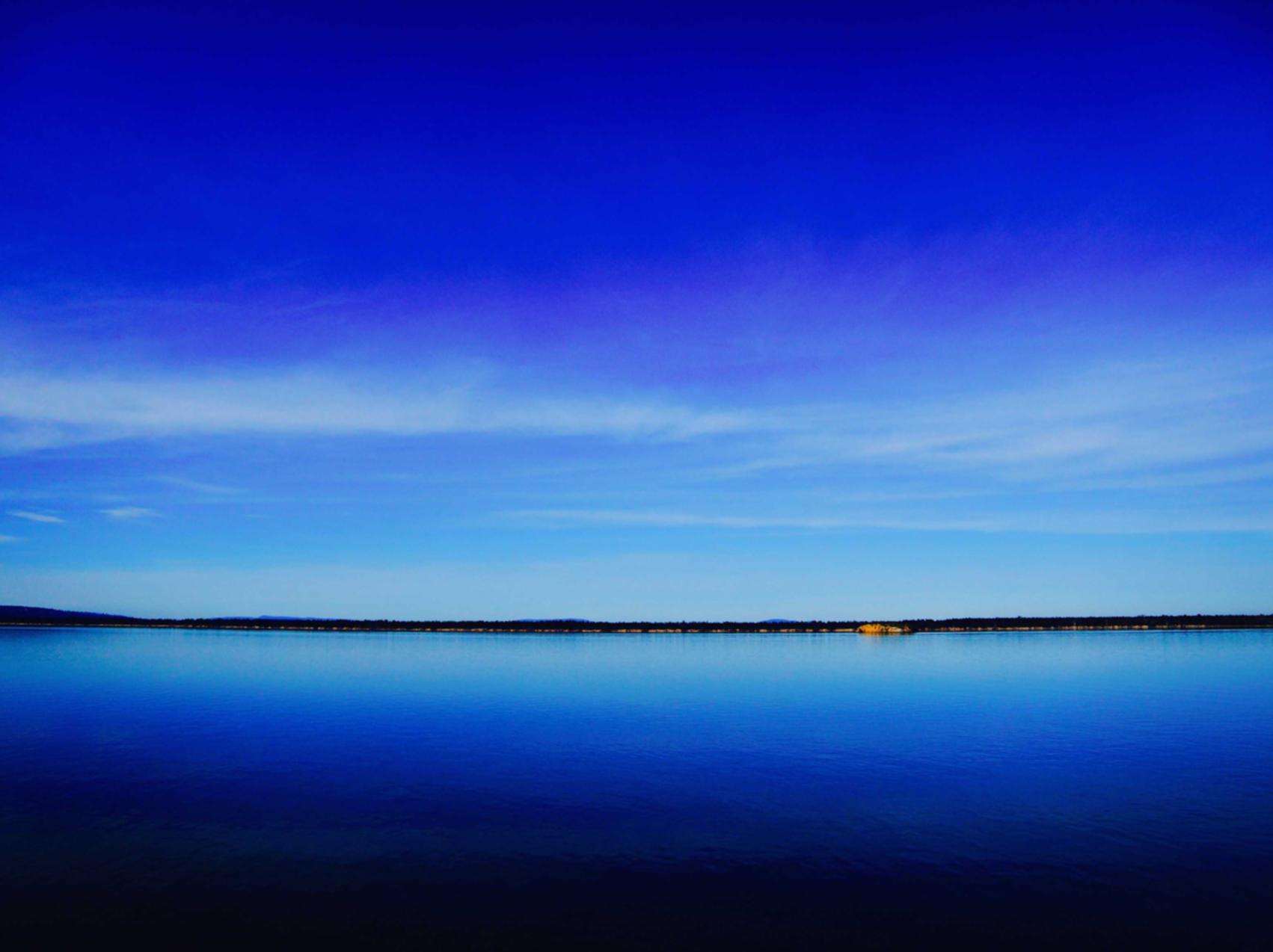 微护士平台代理