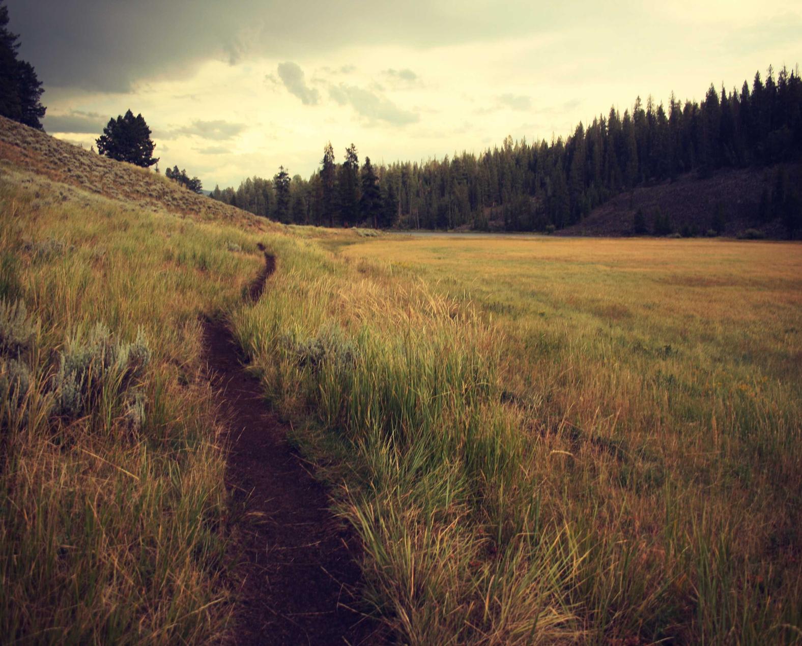 天猫亚马逊注册账号