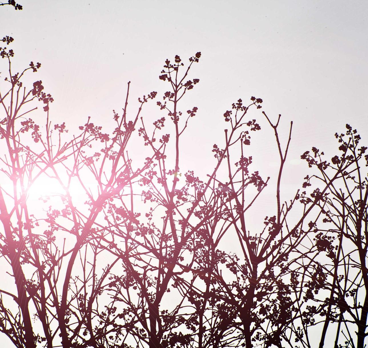 信时空实名账号：如何使用短信进行客户反馈和满意度调查？