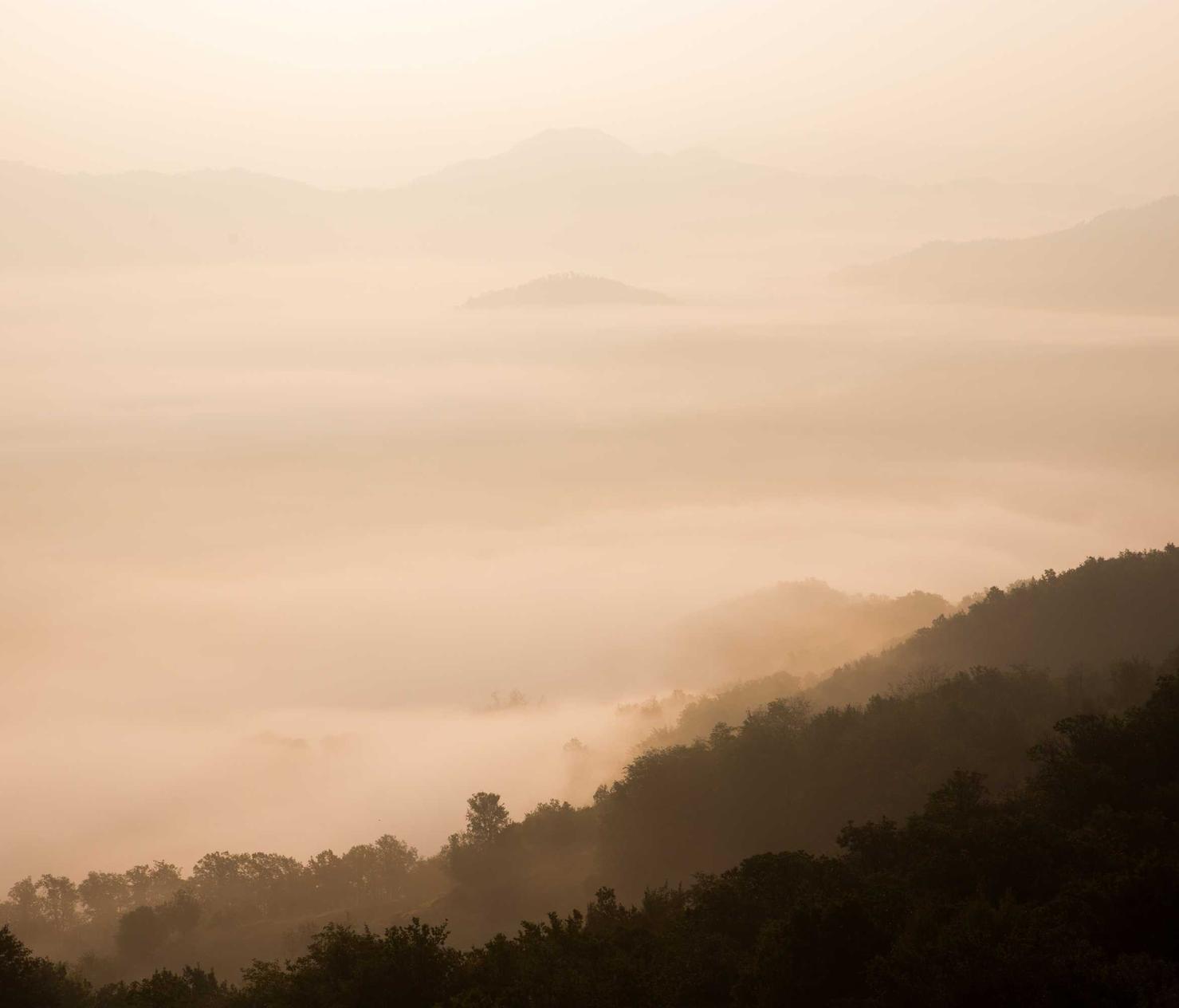 短信轰炸源码实名账号:流量卡的上网稳定性对比分析