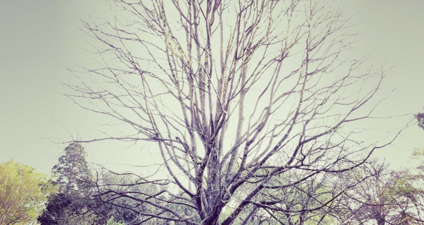 亿彩2付费平台代理