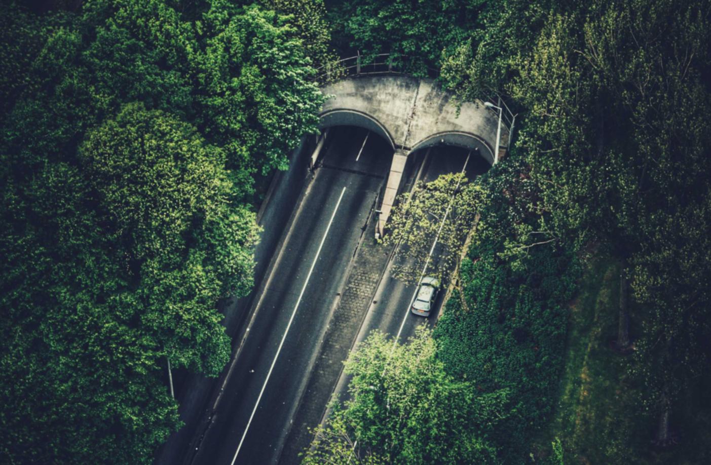 手机卡套餐哪个最划算- 麻将机代理平台