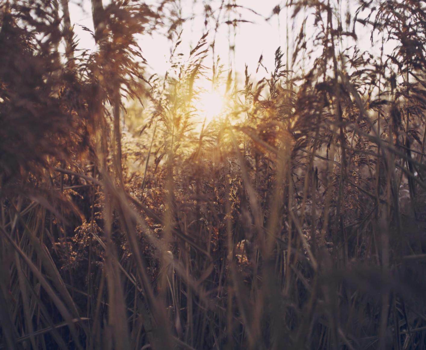 雾森：迷你世界官版游戏账号注册
