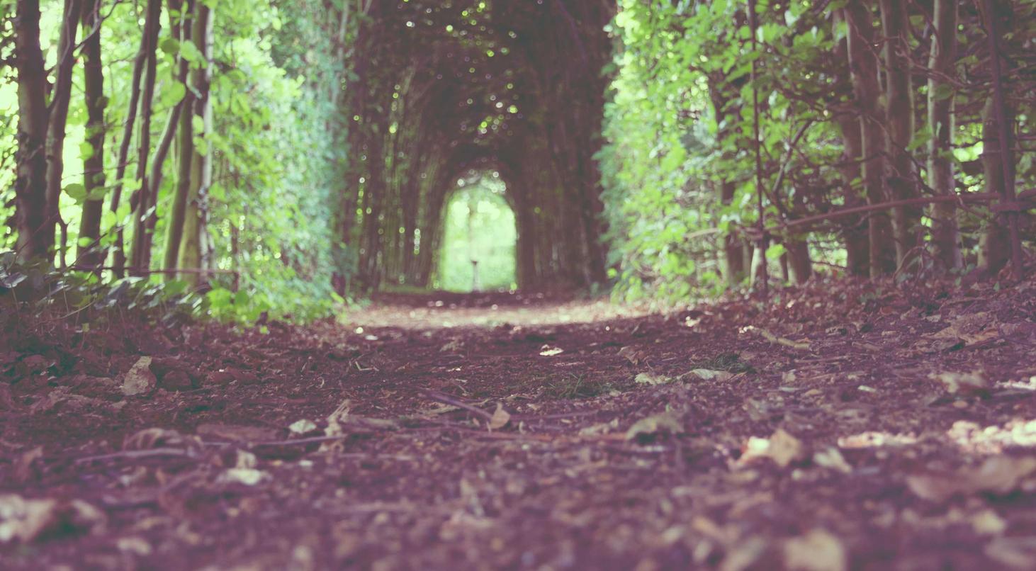 世纪佳缘实名账号：购买项链的平台