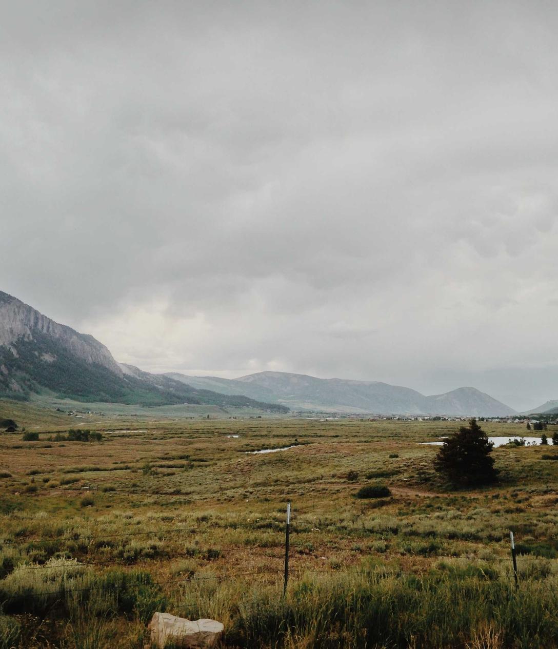 普泰移动实名账号：小说离线读app详情下载教程