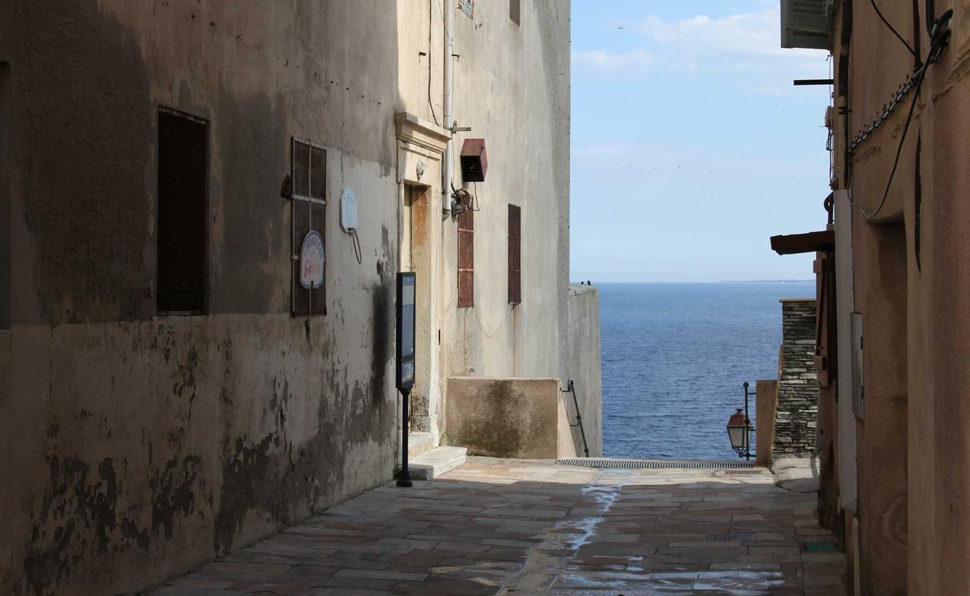 太古神王：卡通相机app详情下载教程