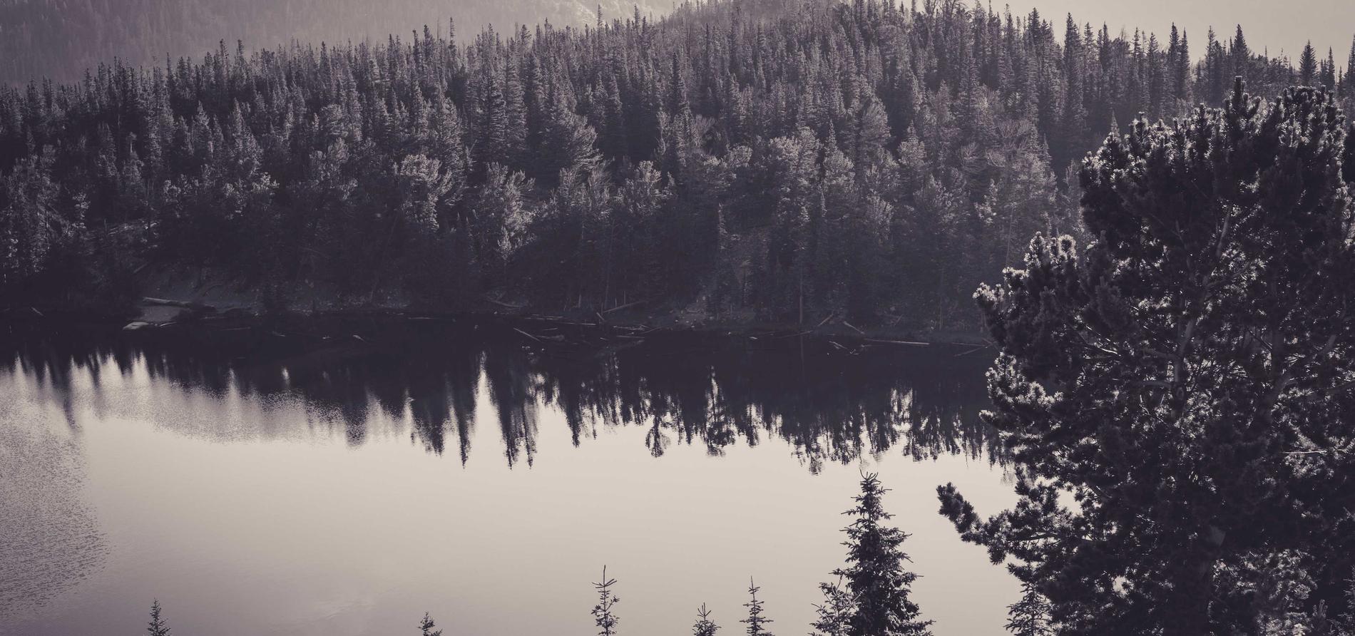 DDOS网页端平台|济南分公司注册代理商