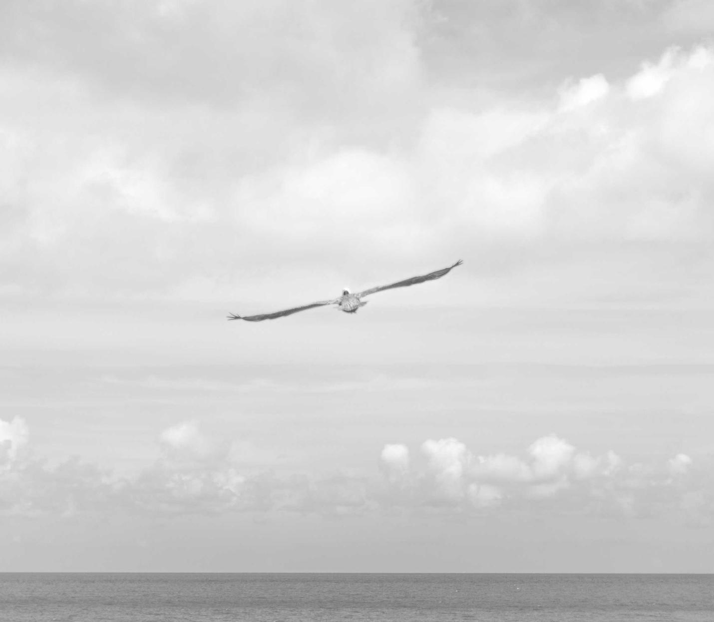 买卖微信号:桔子平台购买游戏