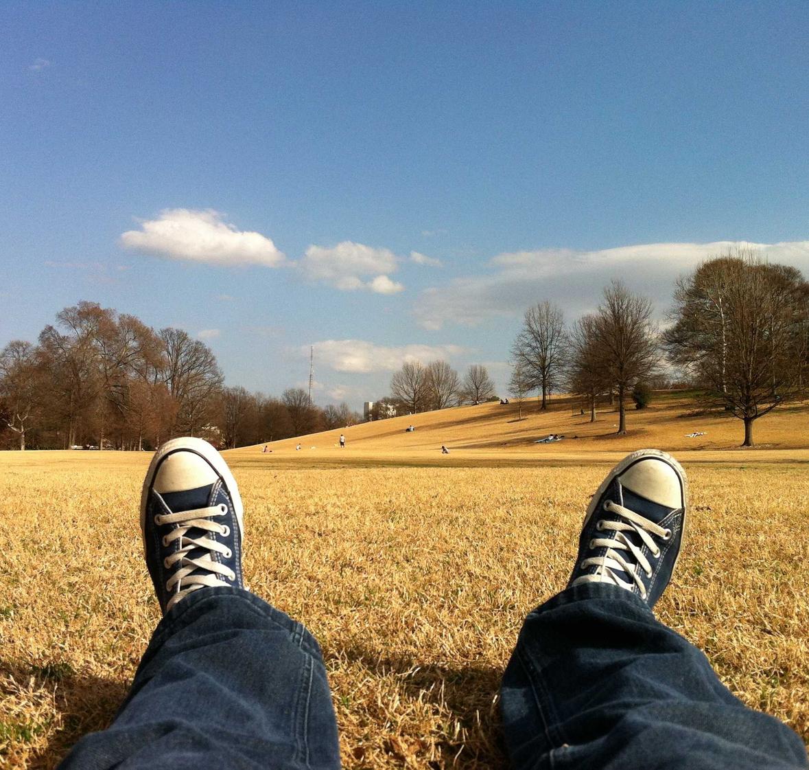 买微信号：智慧树app详情下载教程