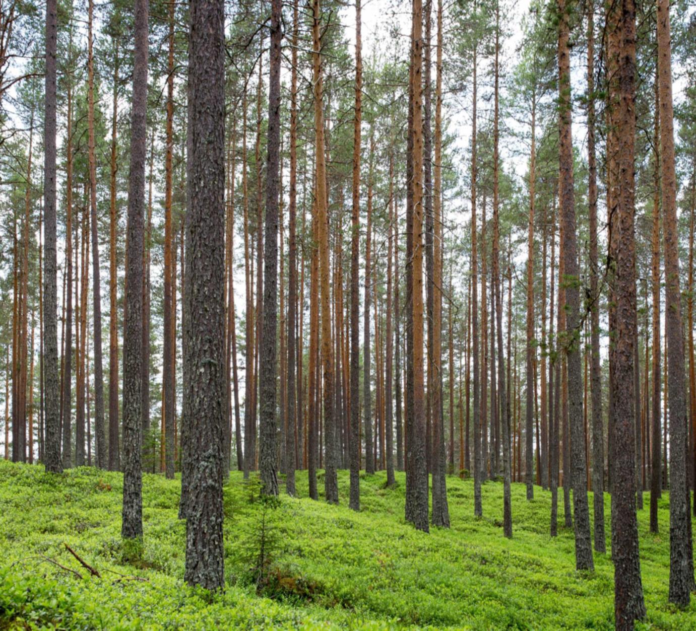 如何利用微格式改善您的SEO排名