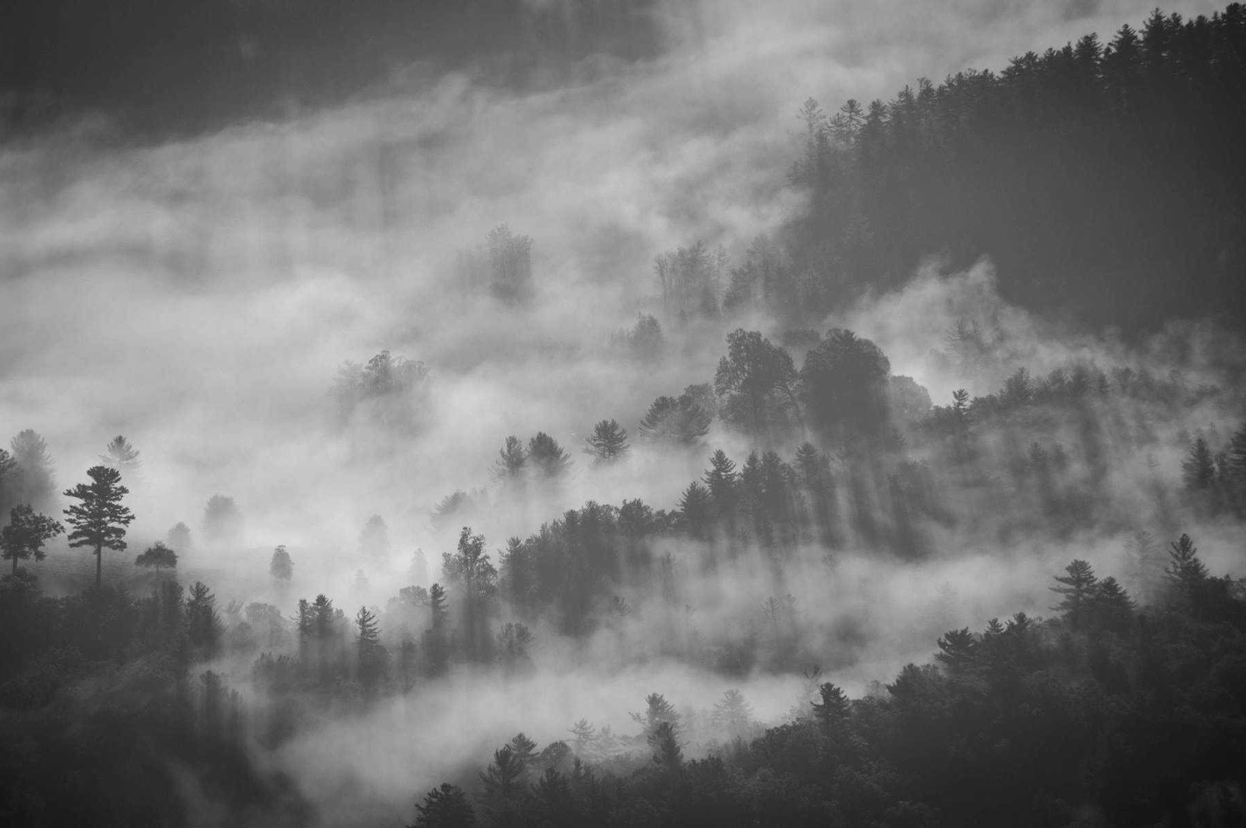 学习如何戒烟,我们需要做这些事情