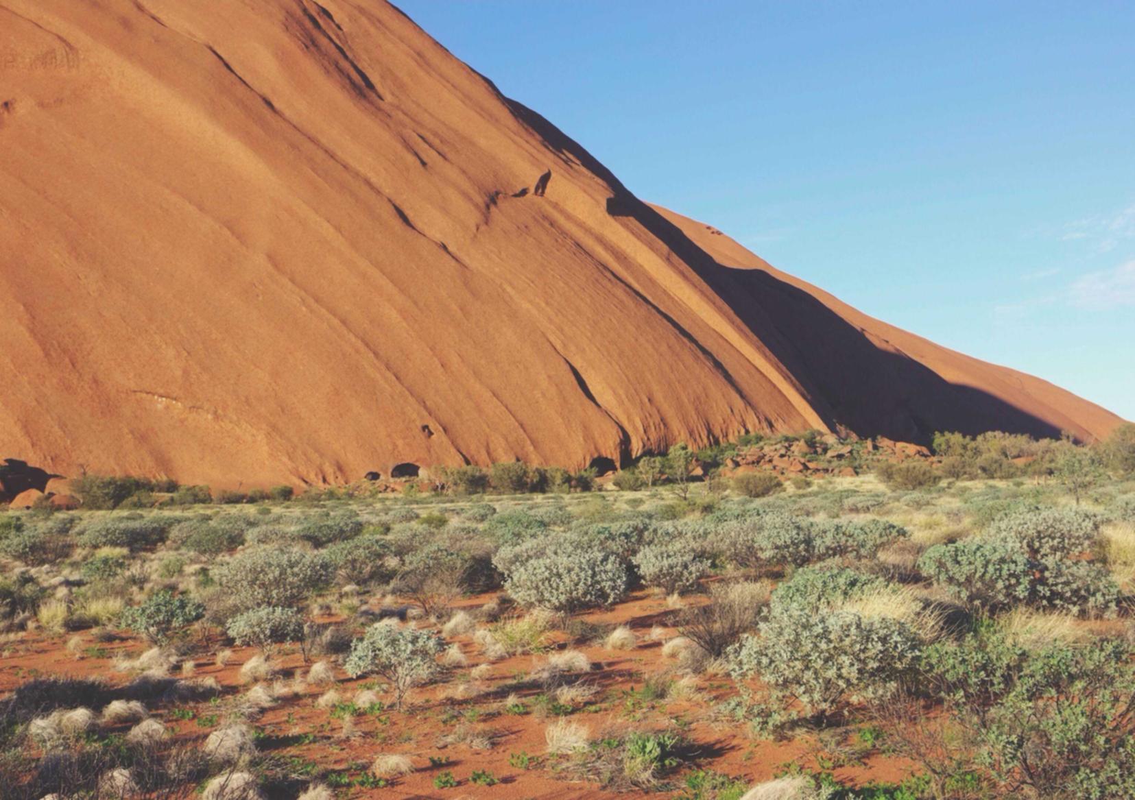 罗密欧1号（15支）（5盒）：idc代理加盟平台