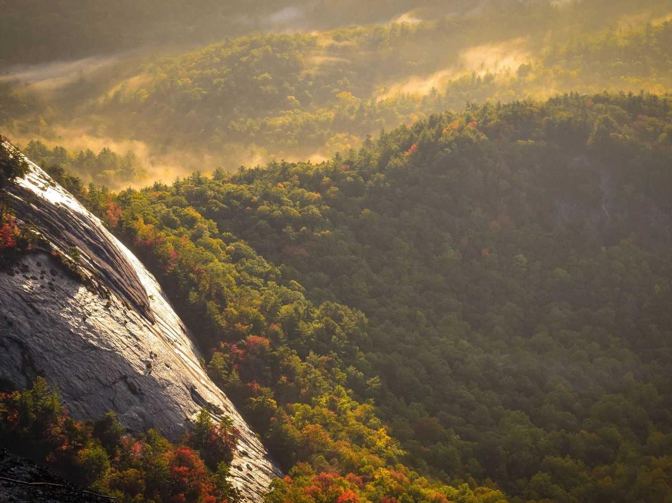 奇亿如何创新营销策略来吸引新客户
