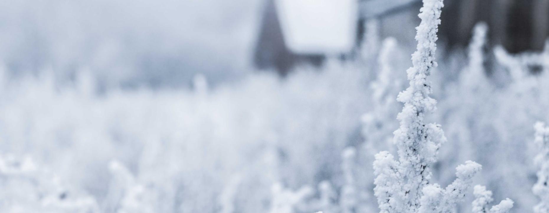 详情下载教程住房公积金app