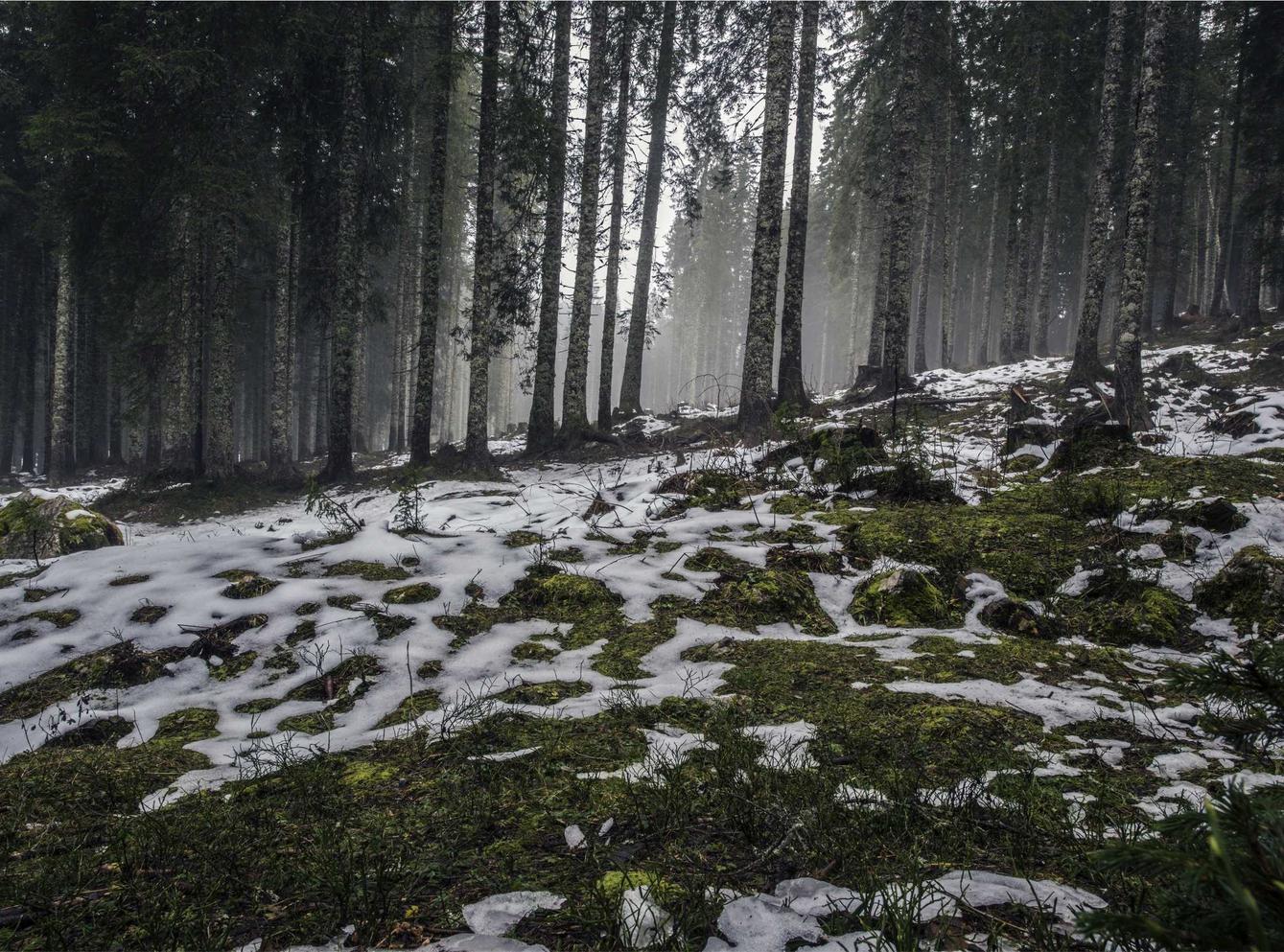 如何评估吸烟对工作的影响